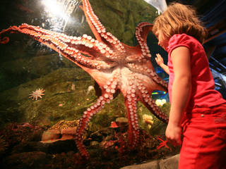 Seattle Aquarium