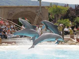 Conny-Land ist der größte Freizeitpark der Schweiz © CONNYLAND AG