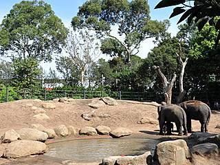 Melbourne Zoo