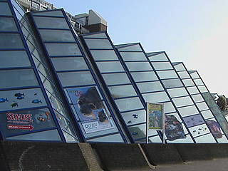 Sea Life Scheveningen