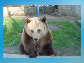 Tierpark Bad Kösen