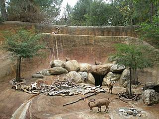 Los Angeles Zoo