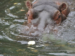 Topeka Zoological Park