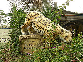 Jacksonville Zoo And Gardens Tierpark In Jacksonville