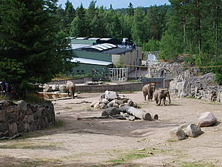 Kolmårdens Djurpark