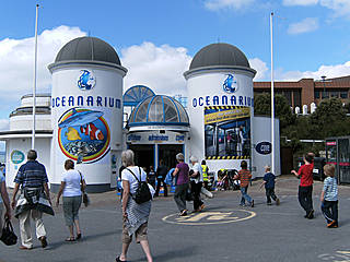 Oceanarium