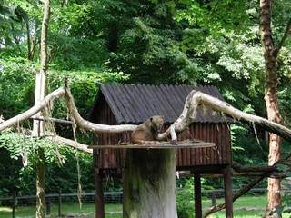 Tierpark Angermünde