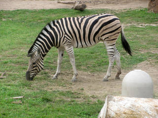 Racine Zoo