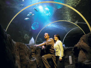 Weston SeaQuarium