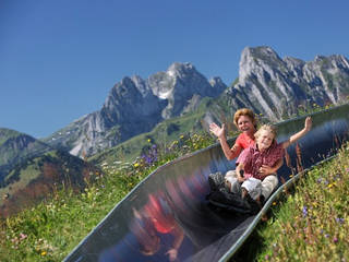 Sommerrodelbahn Rellerli © Gstaad Saanenland Tourismus