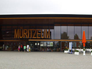 Müritzeum