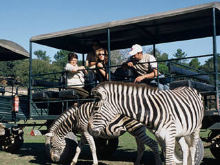 Badoca Safari Park