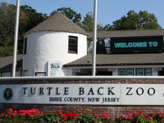 Turtle Back Zoo