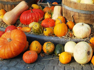 Halloween-Gewinnspiel