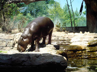 Louisville Zoological Gardens