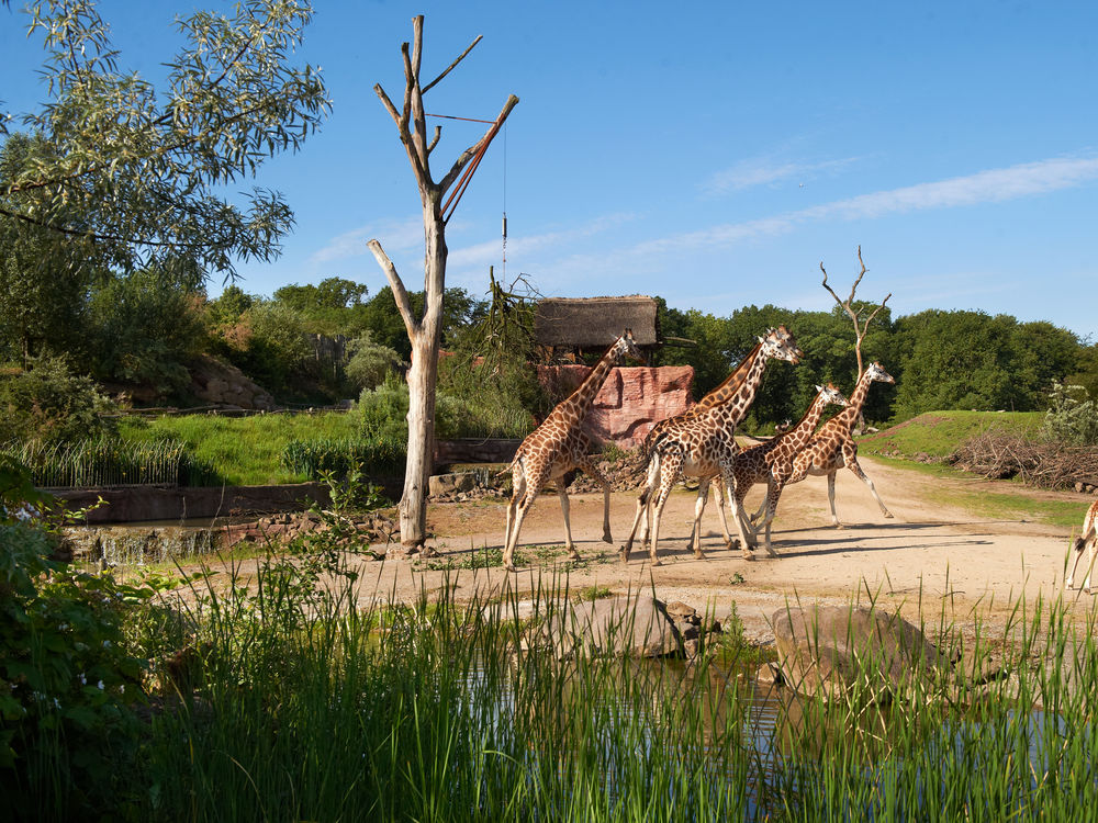 ZOOM Erlebniswelt