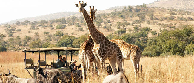 Ausflugsziele und Attraktionen in Südafrika