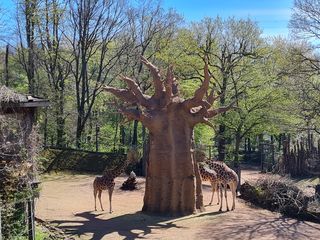 Zoo Osnabrück 2022
