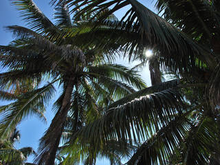 Fairchild Tropical Botanic Garden Garten In Coral Gables