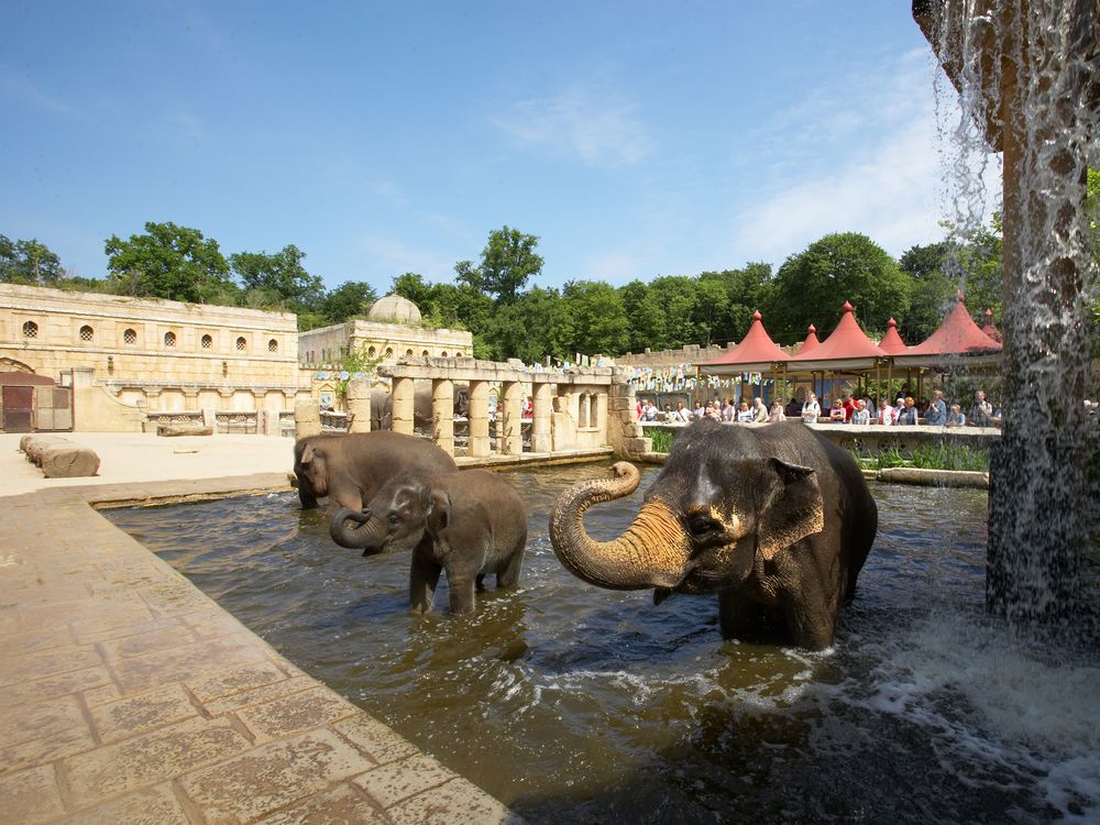 Erlebnis-Zoo Hannover