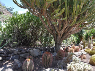 Jardín Botánico Canario Viera y Clavijo