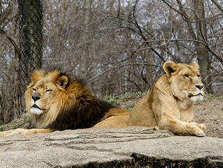 Pittsburgh Zoo