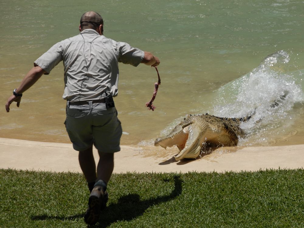 Australia Zoo