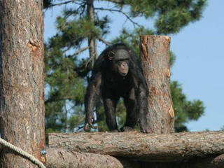 Zoo Veszprém