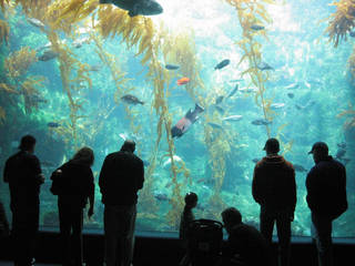 Birch Aquarium at Scripps