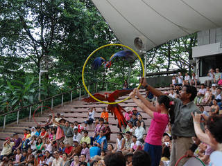 Jurong Bird Park