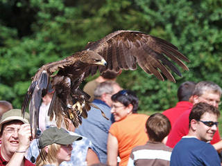 Vogelpark Steinen