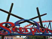 Scorpion: 
