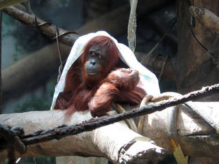 Fort Wayne Childrens Zoo