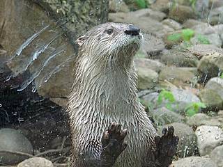 Akron Zoological Park