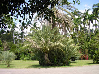 Hope Botanical Gardens © Ministry of Agriculture