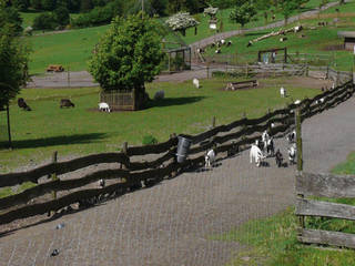 Natur-Wildpark Freisen