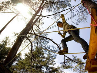 Kletterpark im Waldbad Anif