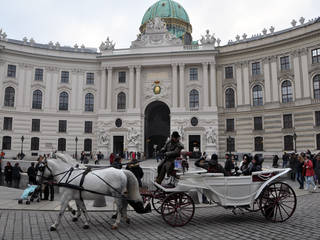 Schmetterlinghaus Burggarten