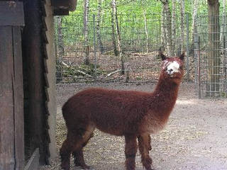 Tierpark Walldorf