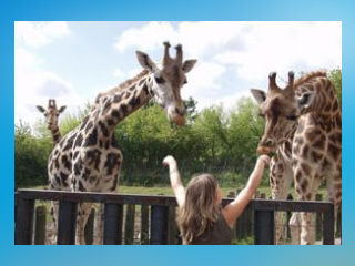 Zoo Usti nad Labem