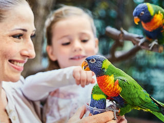 Weltvogelpark Walsrode