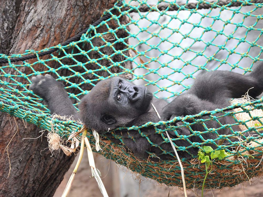 Zoo Rostock