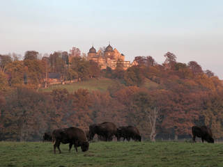 Tierpark Sababurg