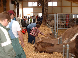 Kamelhof Rotfelden