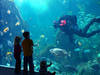 Vancouver Aquarium © Vancouver Aquarium