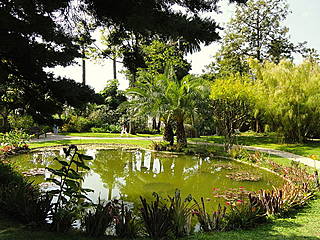 Teich im Jardin Botanique Exotique Val Rahmeh, Menton. © Daderot
