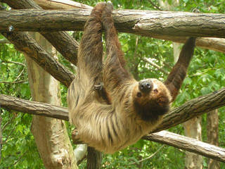 Zoo Győr