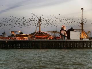 Brighton Pier