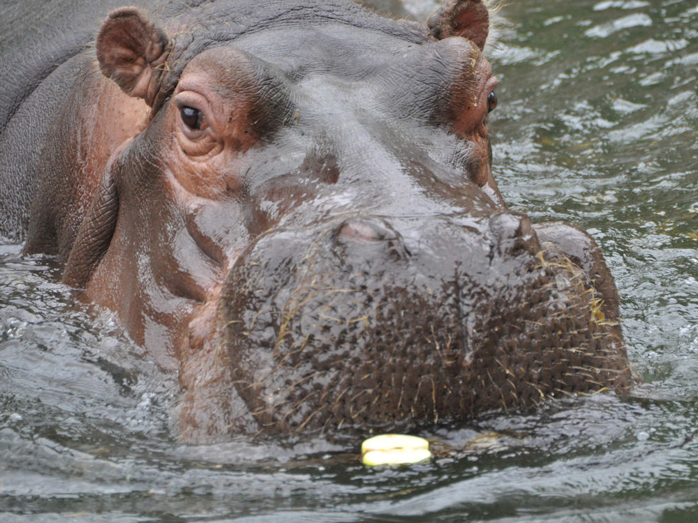 Zoo Karlsruhe