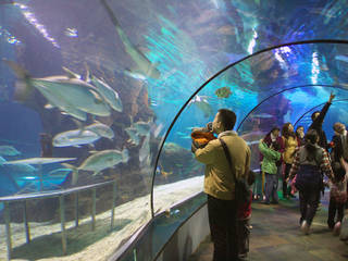 Shanghai Ocean Aquarium